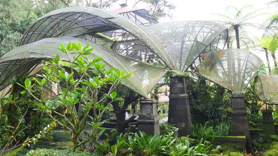 Botanic Garden Ubud